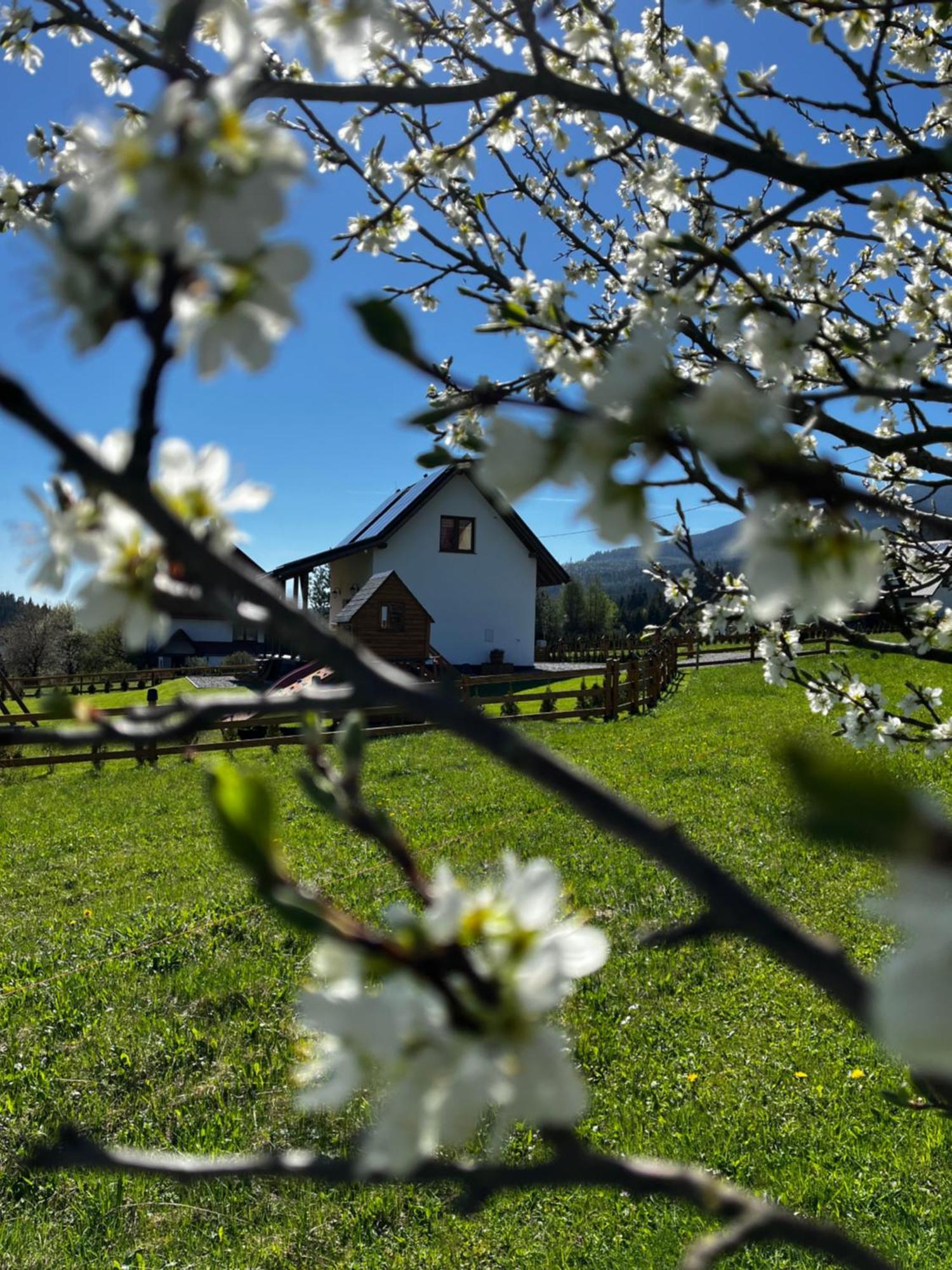 Orawska - Pod Babia Gora Zubrzyca Gorna